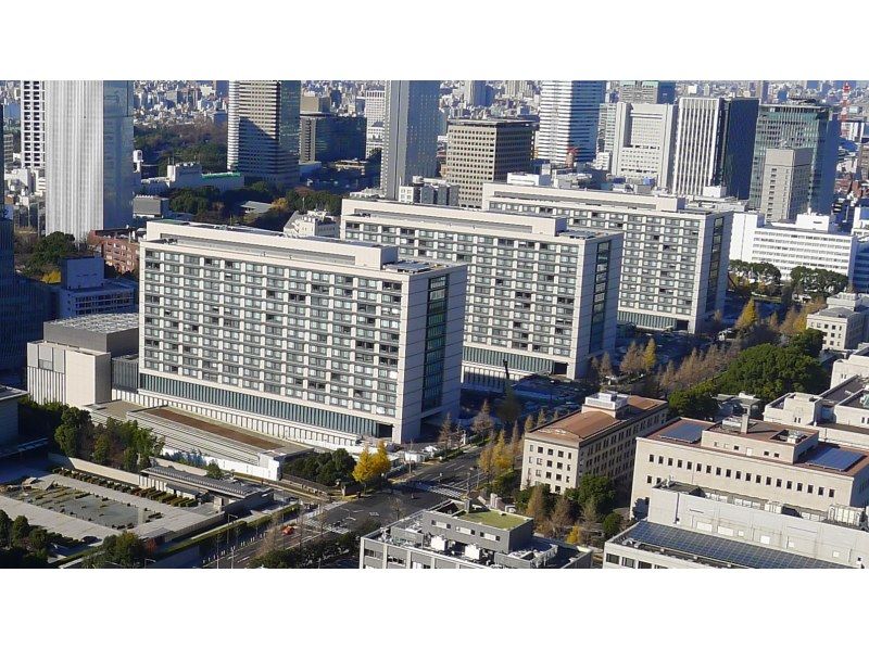 【東京・永田町】国会議事堂&永田町おさんぽツアーの紹介画像