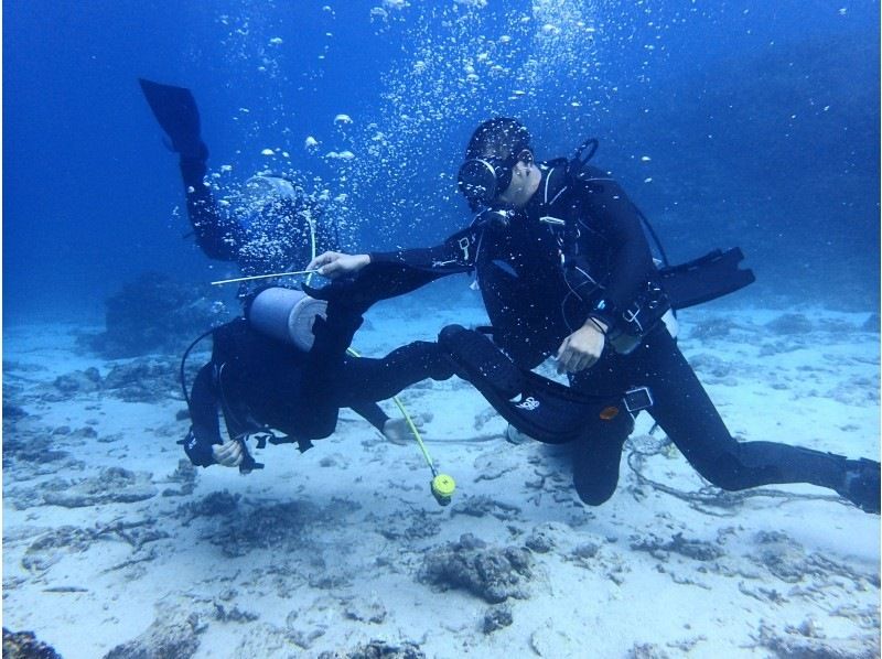 2025年4月度Google口コミ数「沖縄ダイビング」1位！【沖縄・本島】かなづちでもできる！ライセンス取得！最短1.5日オープンウォーターの紹介画像