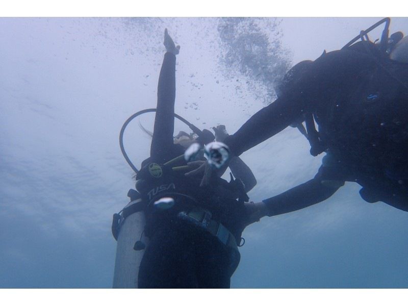 2025年4月度Google口コミ数「沖縄ダイビング」1位！【沖縄・本島】かなづちでもできる！ライセンス取得！最短1.5日オープンウォーターの紹介画像