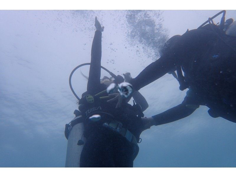 2025年4月度Google口コミ数「沖縄ダイビング」1位！【沖縄・本島】かなづちでもできる！ライセンス取得！最短1.5日オープンウォーターの紹介画像