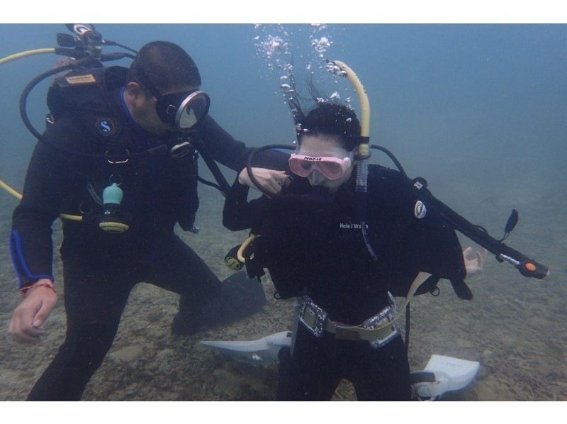 2025年4月度Google口コミ数「沖縄ダイビング」1位！【沖縄・本島】かなづちでもできる！ライセンス取得！最短1.5日オープンウォーターの紹介画像