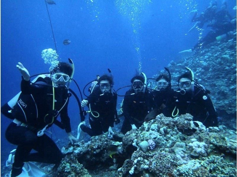 【Okinawa · Onna Village】 Beginner Reliable ★ Experience Diving (Blue Cave Course)の紹介画像