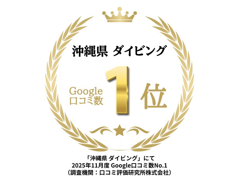 2025年4月度Google口コミ数「沖縄ダイビング」第1位！【那覇発・半日・慶良間諸島】海ガメに逢える!?カメラレンタル付！体験ダイビングの紹介画像