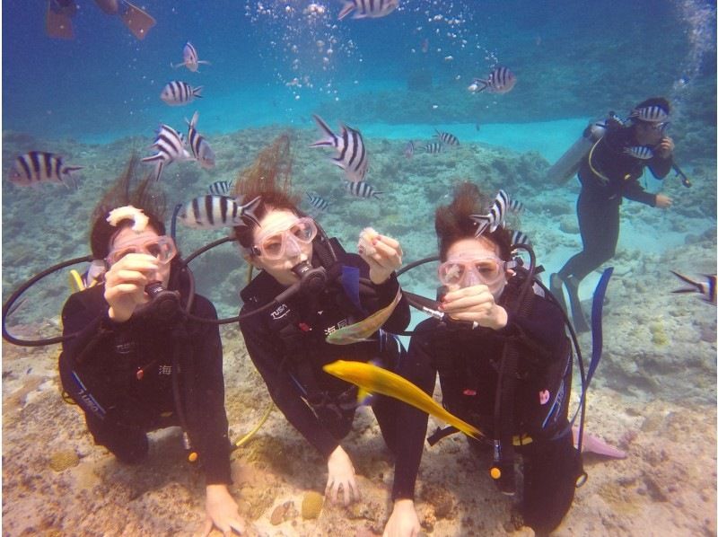 2025年4月度Google口コミ数「沖縄ダイビング」第1位！【那覇発・半日・慶良間諸島】海ガメに逢える!?カメラレンタル付！体験ダイビングの紹介画像