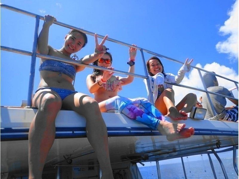 2025年4月度Google口コミ数「沖縄ダイビング」第1位！【那覇発・半日・慶良間諸島】海ガメに逢える!?カメラレンタル付！体験ダイビングの紹介画像