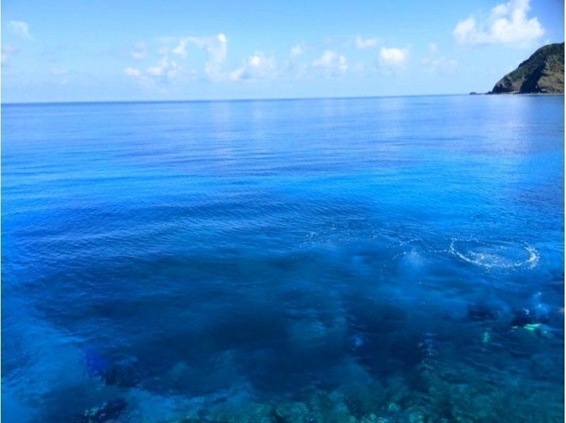 【那覇発・半日・慶良間諸島】海ガメに逢える!?カメラレンタル無料！初心者でも安心の体験ダイビング（国立指定公園コース）の紹介画像