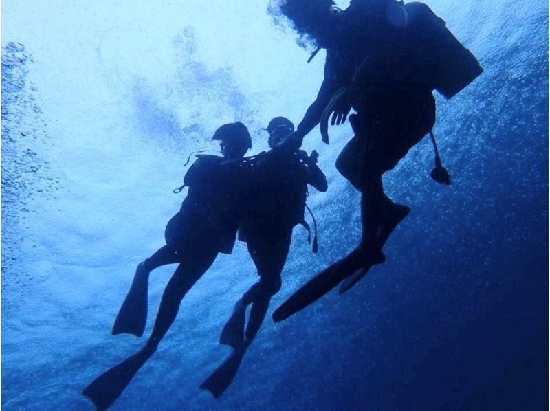 Google口コミ数第1位！【那覇発・半日・慶良間諸島】海ガメに逢える!?カメラレンタル付！沖縄屈指の透明度！初心者向け！安心体験ダイビングの紹介画像