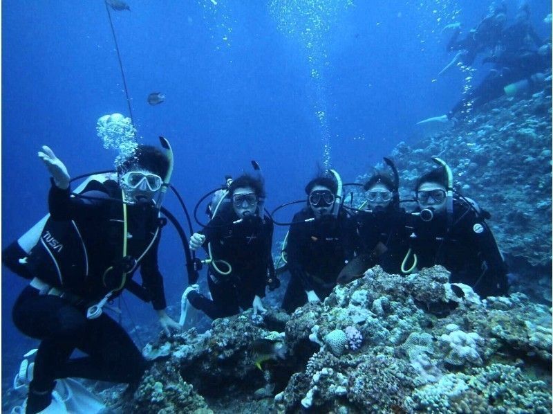 【那覇発・半日・慶良間諸島】海ガメに逢える!?カメラレンタル無料！初心者でも安心の体験ダイビング（国立指定公園コース）の紹介画像