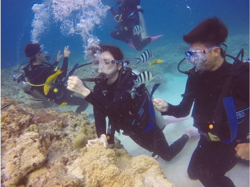 2025年4月度Google口コミ数「沖縄ダイビング」第1位！【那覇発・半日・慶良間諸島】海ガメに逢える!?カメラレンタル付！体験ダイビングの紹介画像