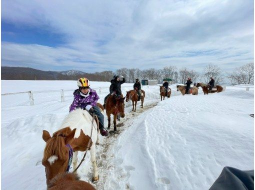 【北海道・登別】ホーストレッキング<冬季ショートコース約30分>10月~11月 【北海道・登別】ホーストレッキング<冬季ショートコース約30分>10月~11月