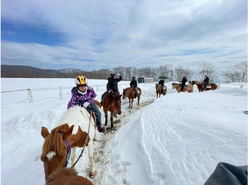 【北海道・登別】ホーストレッキング＜冬季ショートコース約30分＞の紹介画像