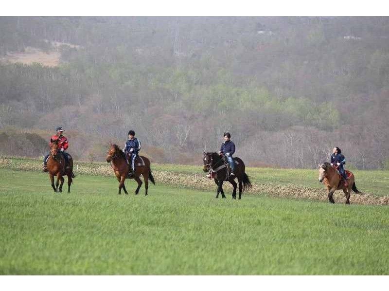 北海道 登别骑马 日本北部 骑马服务 头巾