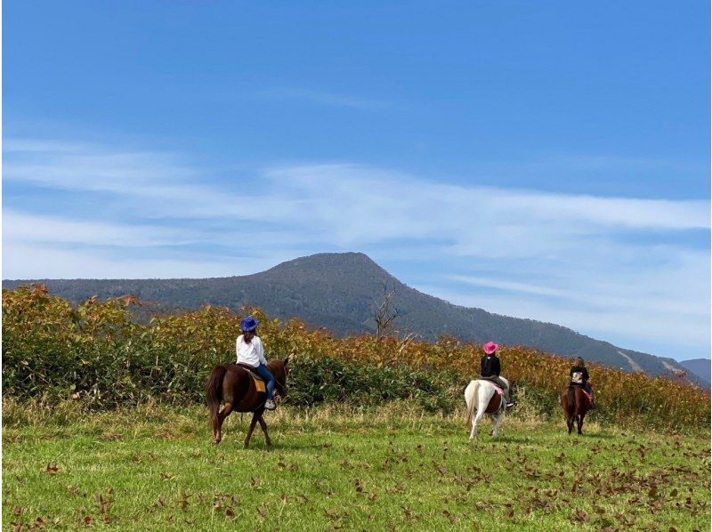 【北海道・登別】ホーストレッキング体験コース（45分）
