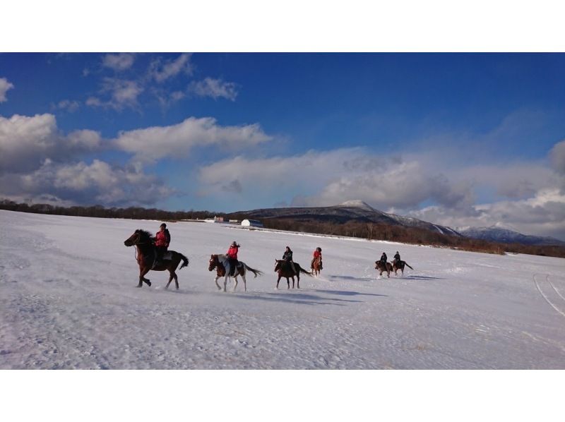 【北海道・登別】ホーストレッキング冬季外乗コース約60分＞の紹介画像