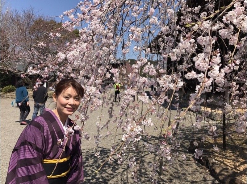 [Osaka Sakai] Kimono Rental-Yamato deshiko 1 day experience "Basic course" with matcha & quick hair setの紹介画像