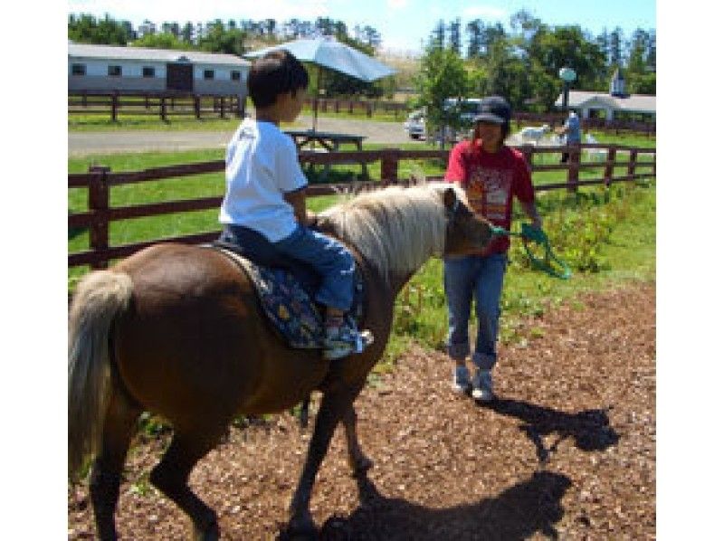 【Hokkaido · Biei-cho】 Baba · Horse riding experience (Dokko or pony) Contact experience (15 minutes)の紹介画像