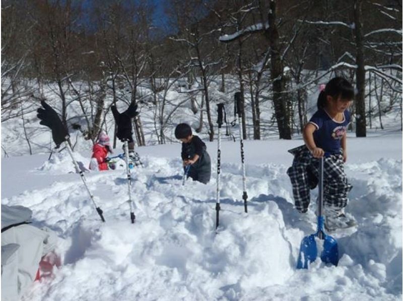 [กุมมะMinakami] ทัวร์สำรวจกิจกรรมเดินหิมะ(Snowshoes)ครึ่งวันที่ครอบครัวของคุณสามารถเพลิดเพลินกับเพื่อน ๆ ! ยินดีต้อนรับมือใหม่! (AM / PM)の紹介画像