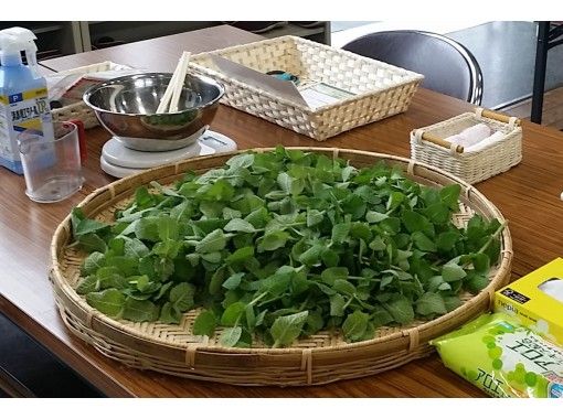 三重 大紀町 ハーブでアロマグッズづくり アロマテラピー体験 ハーブスイーツ付き アクティビティジャパン