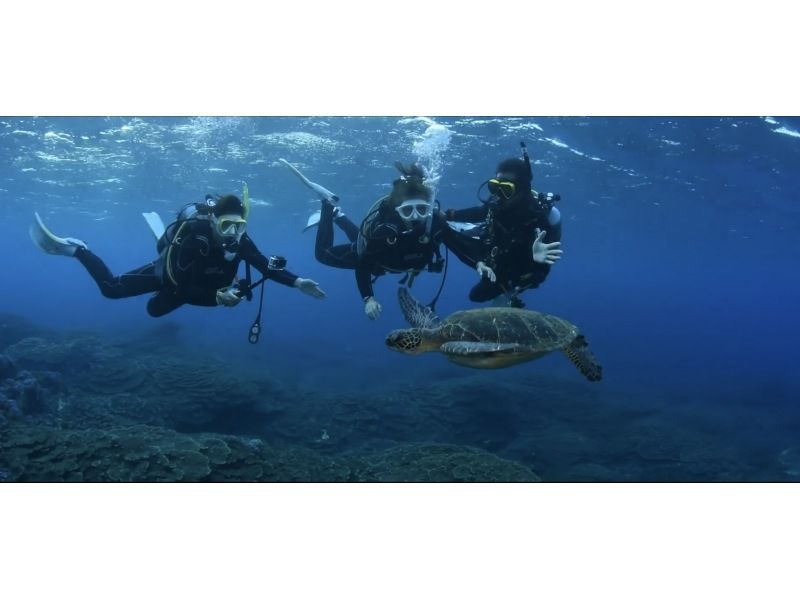 7月至9月的暑期計劃！ [東京/八丈島]嘗試用GoPro拍攝！與綠海龜一起游泳的“體驗潛水”の紹介画像