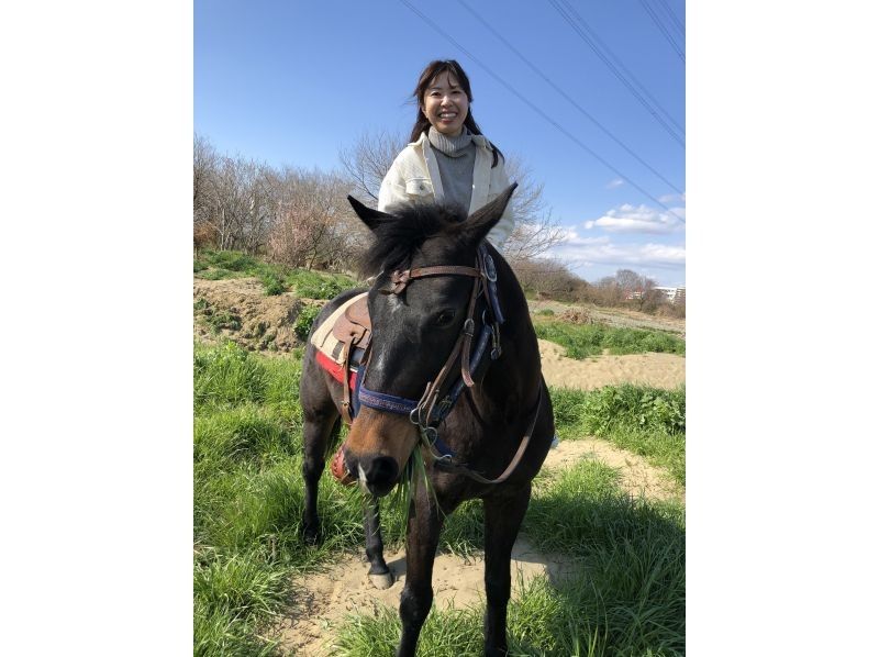 [동경히노]호스트레킹♪ 90 분 TeaTime · 천천히승마하고 싶은 분에게 추천 코스の紹介画像