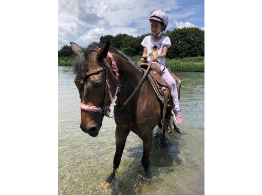 Tokyo · Hino] Horse Trekking ♪ (90 mins) and Tea Time