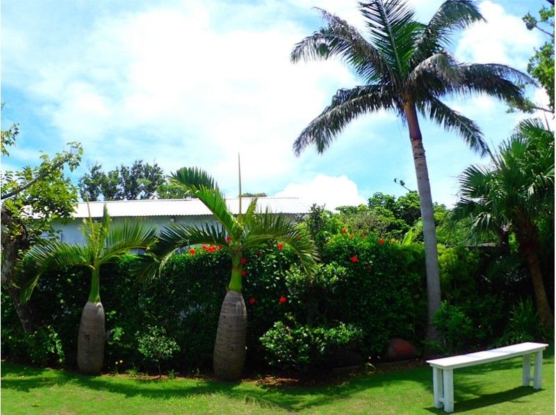 Okinawa Panari Island (Aragusuku Island) Image of tropical trees island