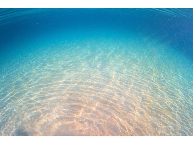 [冲绳-宫古岛]我们最受欢迎！数码相机租借免费！完整的私人海滩体验深潜の紹介画像