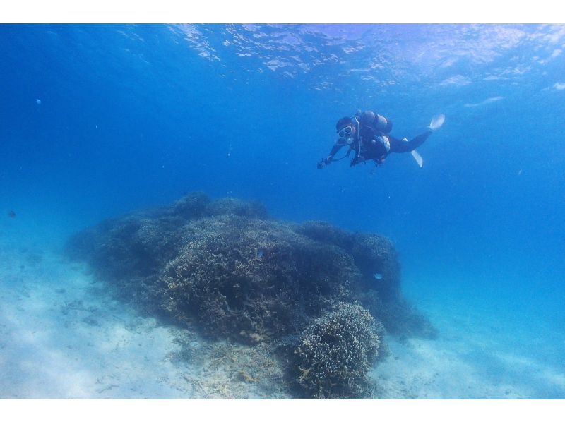 [Okinawa ・ Miyakojima] 2 beach refresh Diving(half-day Course) Equipment Rental&digital camera Rental free!の紹介画像