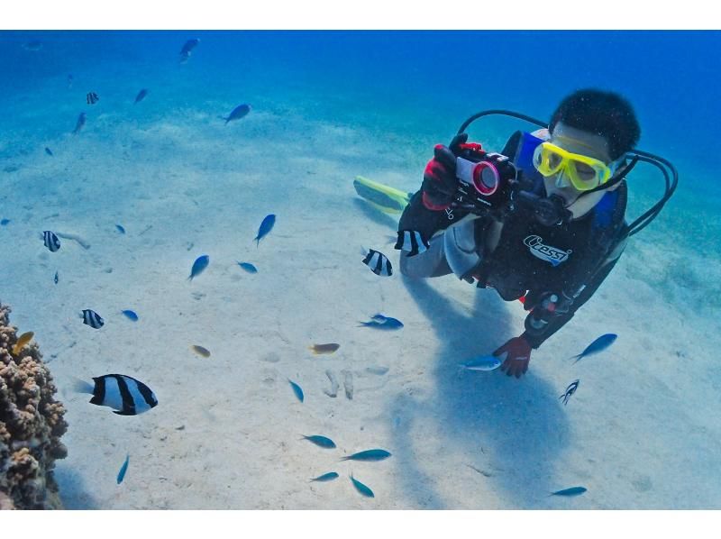 [Okinawa ・ Miyakojima] 2 beach refresh Diving(half-day Course) Equipment Rental&digital camera Rental free!の紹介画像