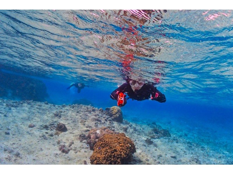 [Okinawa ・ Miyakojima] Complete charter! The beach Snorkeling digital camera Rental free!の紹介画像