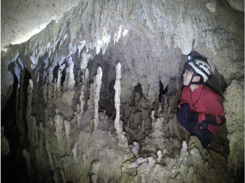 [โอกินาว่า・ เกาะอิริโอะโมะเตะทัวร์สำรวจถ้ำเต็มรูปแบบนำโดยไกด์มืออาชีพถ้ำの紹介画像