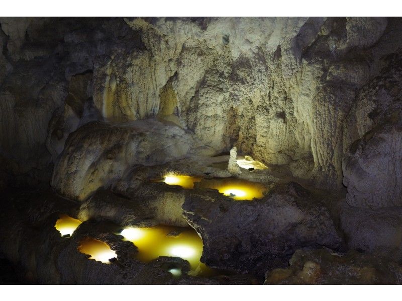 [오키나와· 이리 오모테 섬] 동굴 전문 가이드가 인솔하는 본격 동굴 탐험 (동굴 탐험) 투어の紹介画像