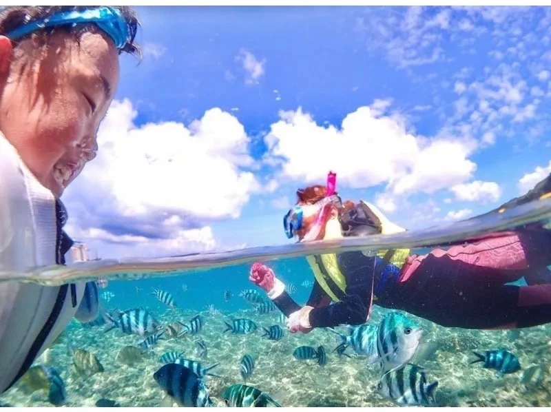 年齢制限なし♪貸切プラン【写真動画撮影・餌付け体験・タオル付】シュノーケリング【ジャングリア、美ら海近く】北部.名護.本部.瀬底島！の紹介画像