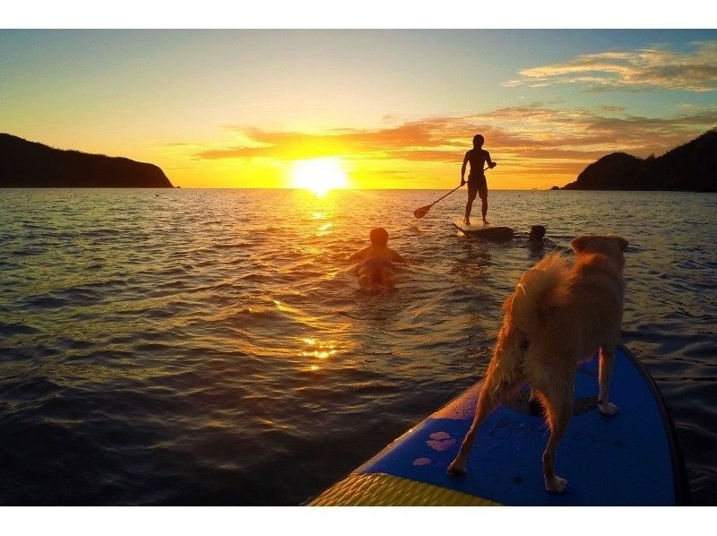 【 Kagoshima · Amami Oshima】 Even beginners are safe! SUP Wed on a walk tour - Snorkeling ☆ GoPro photography with ~