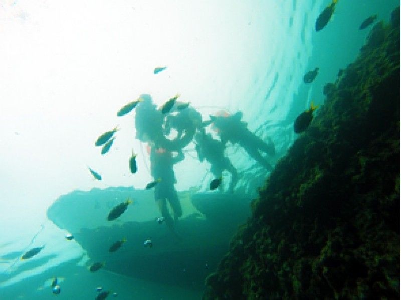 【Kagoshima · Amami Oshima · Snorkeling】 Bait experience while playing with tropical fish ♪の紹介画像