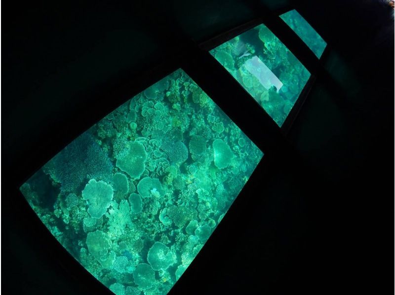 [โอกินาว่า・ นาโกะ] (ตื่นเต้นมาก 150mพาราเซลลิ่ง(Parasailing)+ล่องเรือกระจกใสชมสัตว์ทะเลทัวร์ชมปะการังสีน้ำเงิน Jomon ที่ใหญ่ที่สุดของญี่ปุ่น)の紹介画像