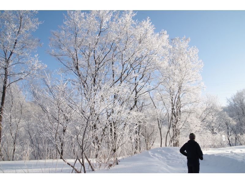 [Hokkaido Furano] Sanpo road of "morning limited"! Asa River Fushigi Snowshoe Experienceの紹介画像