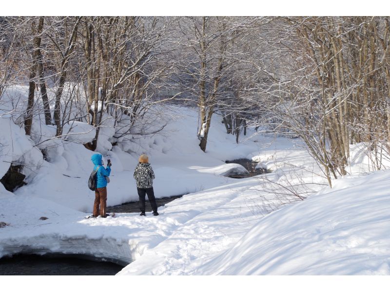 [Hokkaido Furano] Sanpo road of "morning limited"! Asa River Fushigi Snowshoe Experienceの紹介画像