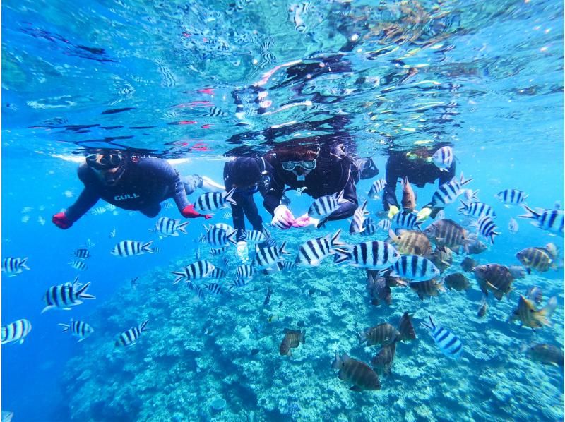 [Okinawa, impression, snorkel] Enjoy feeding coral reefs and tropical fish ★ Popular GoPro photos & videos free ★ Peace of mind! Local Okinawan Guide ★ Reviews & Photo Satisfaction No1 ★の紹介画像