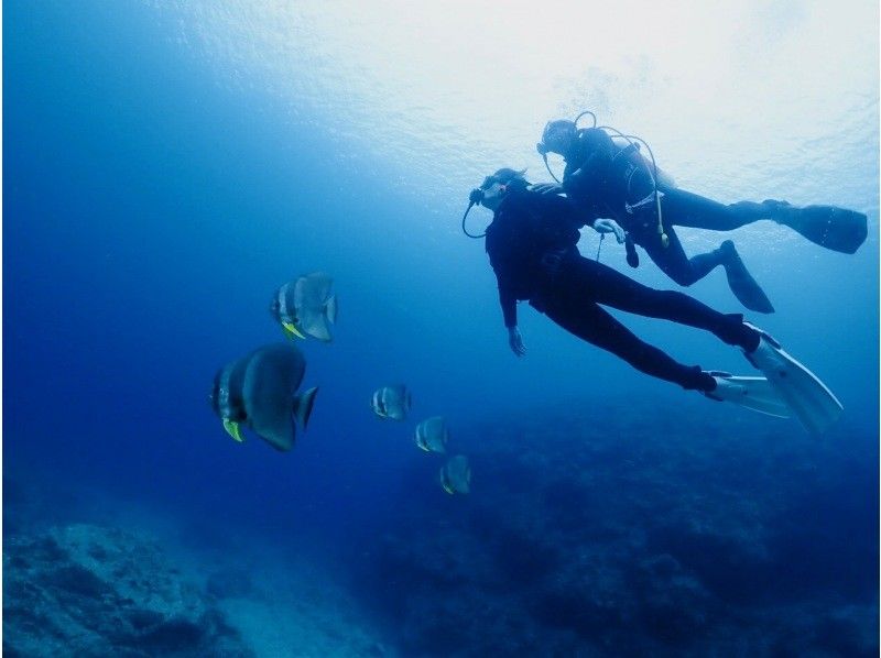 【沖縄・北谷・サンゴ礁・体験ダイビング】サンゴ礁と熱帯魚の餌付け満喫！ガイド貸切！GoPro写真＆動画無料！口コミ＆写真満足度Ｎo1の紹介画像