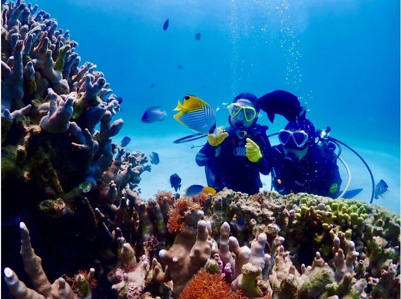 【沖縄・北谷・サンゴ礁・体験ダイビング】サンゴ礁と熱帯魚の餌付け満喫！ガイド貸切！GoPro写真＆動画無料！口コミ＆写真満足度Ｎo1の紹介画像