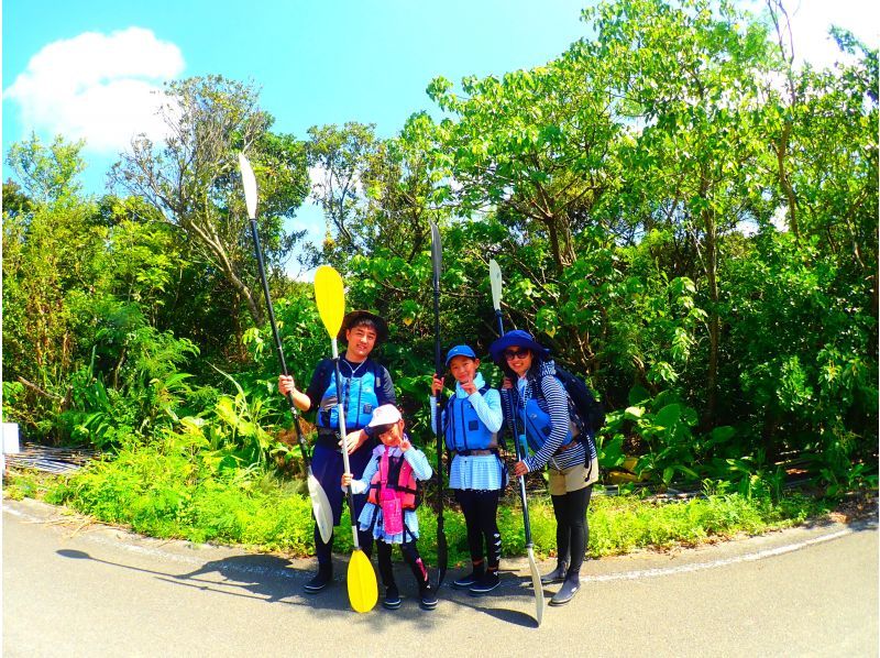 【西表島/半日】トレッキングがないマングローブカヌー体験、漕がなくても楽しめる、癒されるツアー