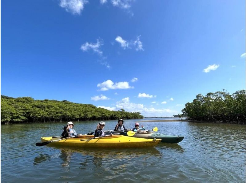 Iriomote Island Canoe / Kayak Experience Tour ความนิยม & แผนแนะนำ แนะนำอย่างละเอียด!