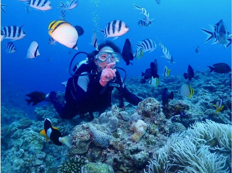 [沖繩 / 潛水執照 / PADI 高級潛水員] 挑戰沖繩最低價格 ★ 免費熱門 GoPro 照片和視頻 ★ 評論和照片滿意度 No1 ★の紹介画像