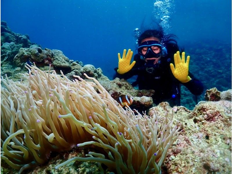 [沖繩 / 潛水執照 / PADI 高級潛水員] 挑戰沖繩最低價格 ★ 免費熱門 GoPro 照片和視頻 ★ 評論和照片滿意度 No1 ★の紹介画像