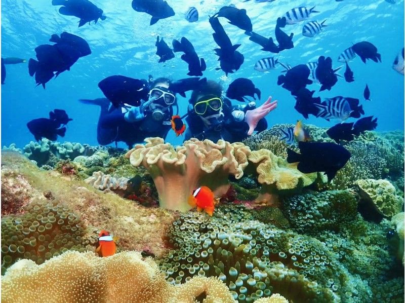 [沖繩 / 潛水執照 / PADI 高級潛水員] 挑戰沖繩最低價格 ★ 免費熱門 GoPro 照片和視頻 ★ 評論和照片滿意度 No1 ★の紹介画像