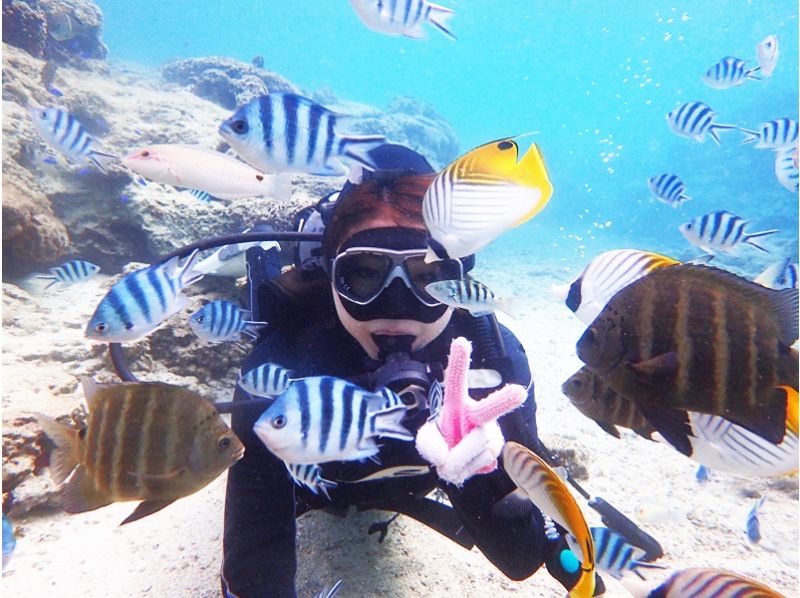 [沖繩 / 潛水執照 / PADI 高級潛水員] 挑戰沖繩最低價格 ★ 免費熱門 GoPro 照片和視頻 ★ 評論和照片滿意度 No1 ★の紹介画像