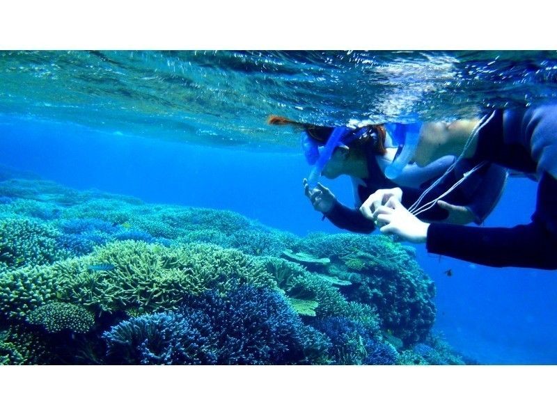 【沖縄・石垣発、竹富発】幻の島上陸＆熱帯魚シュノーケリング+マンタチャレンジコース（5~6時間）の紹介画像