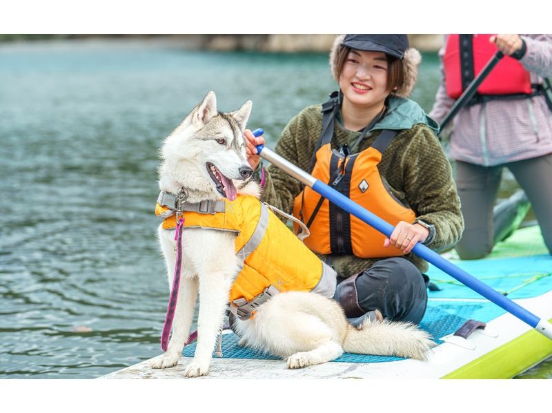 とまと　特大sup 家族で楽しめます リバーSUP 大自然に囲まれたタロフォフォ川でのんびり水上散歩+