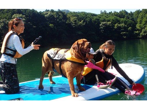 Mie, Okuise, SUP] [Family SUP] ~The most stable tandem mega SUP